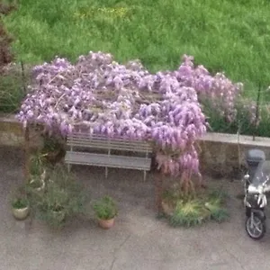 Zona Torregalli_nuvola Rossa Appartement Florence